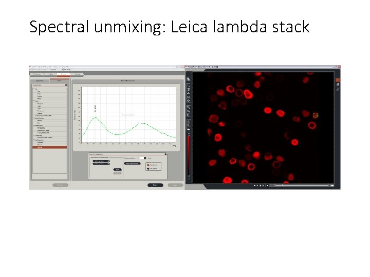 Spectral unmixing: Leica lambda stack 