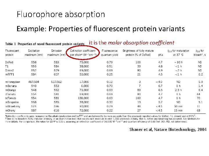 Fluorophore absorption Example: Properties of fluorescent protein variants it is the molar absorption coefficient
