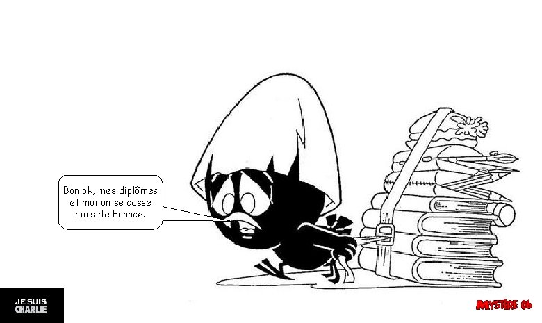 Bon ok, mes diplômes et moi on se casse hors de France. 