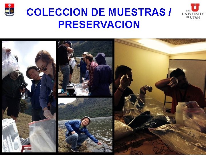 COLECCION DE MUESTRAS / PRESERVACION 
