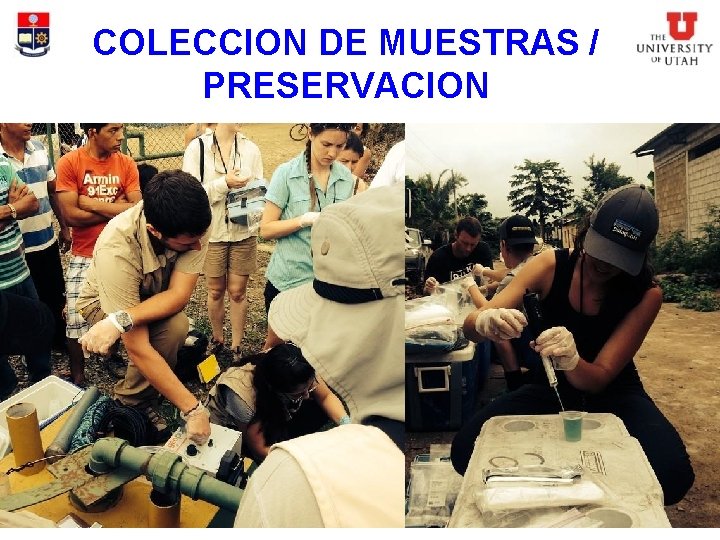 COLECCION DE MUESTRAS / PRESERVACION 