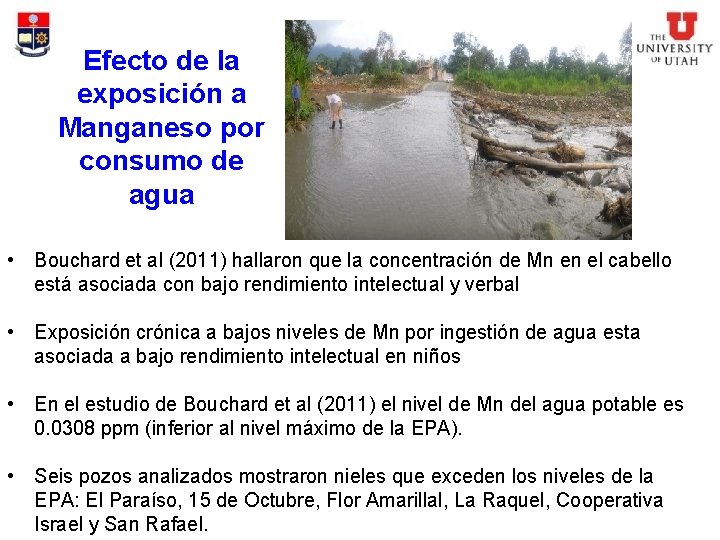 Efecto de la exposición a Manganeso por consumo de agua • Bouchard et al