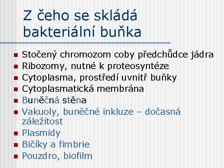 Z čeho se skládá bakteriální buňka n n n n n Stočený chromozom coby