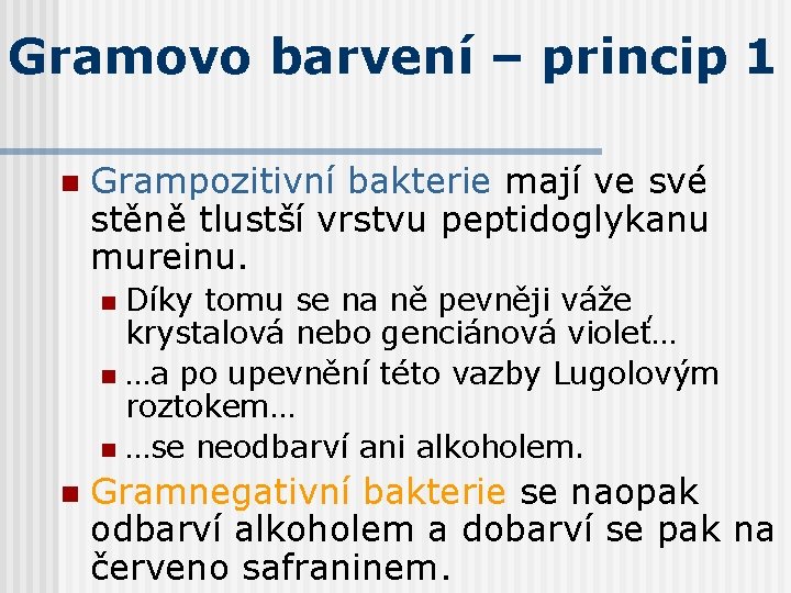 Gramovo barvení – princip 1 n Grampozitivní bakterie mají ve své stěně tlustší vrstvu