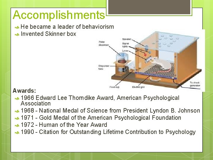 Accomplishments He became a leader of behaviorism Invented Skinner box Awards: 1966 Edward Lee