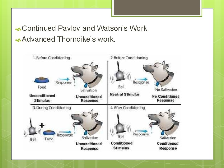  Continued Pavlov and Watson’s Work Advanced Thorndike’s work. 