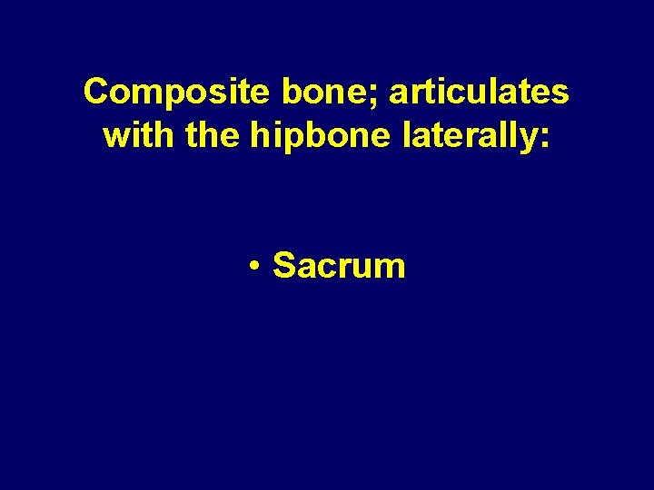 Composite bone; articulates with the hipbone laterally: • Sacrum Composite bone; articulates with the hipbone laterally: • Sacrum