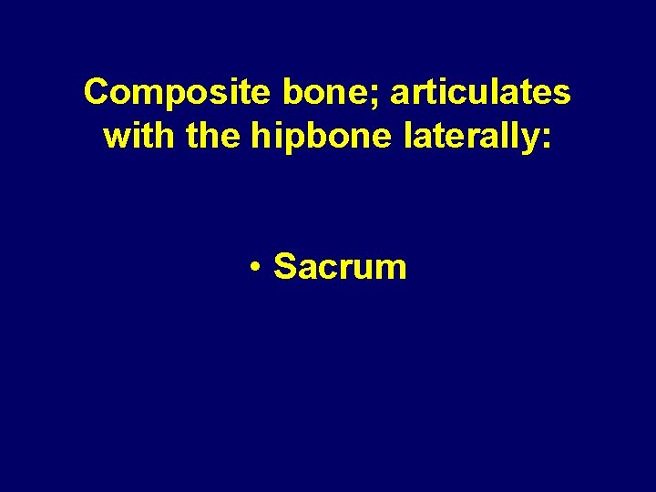 Composite bone; articulates with the hipbone laterally: • Sacrum 