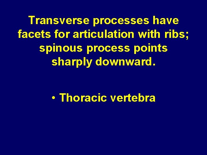 Transverse processes have facets for articulation with ribs; spinous process points sharply downward. •