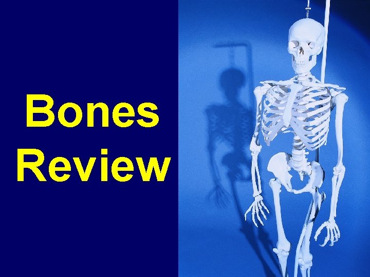 Bones Review Bones Review