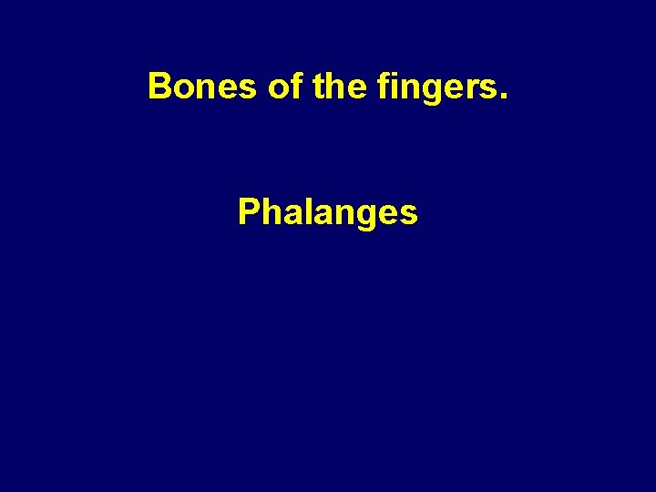 Bones of the fingers. Phalanges Bones of the fingers. Phalanges