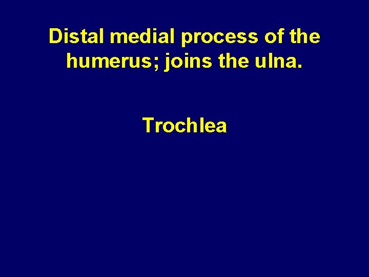 Distal medial process of the humerus; joins the ulna. Trochlea Distal medial process of the humerus; joins the ulna. Trochlea