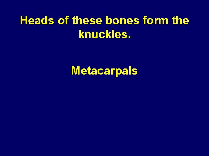 Heads of these bones form the knuckles. Metacarpals 