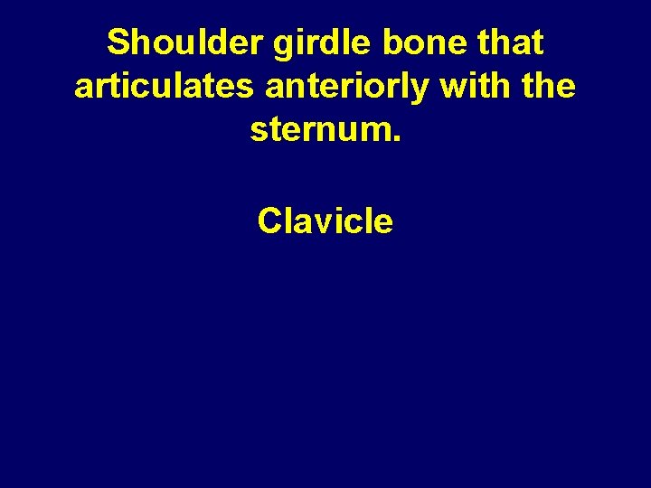 Shoulder girdle bone that articulates anteriorly with the sternum. Clavicle 