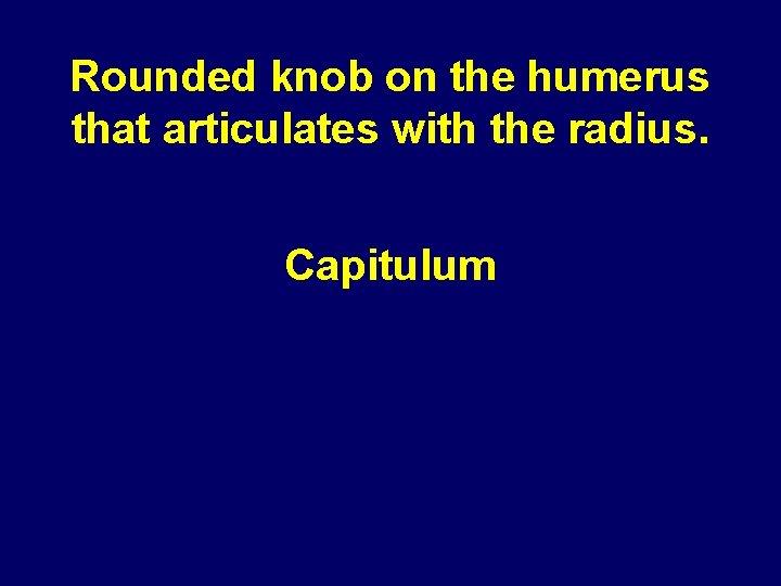 Rounded knob on the humerus that articulates with the radius. Capitulum Rounded knob on the humerus that articulates with the radius. Capitulum