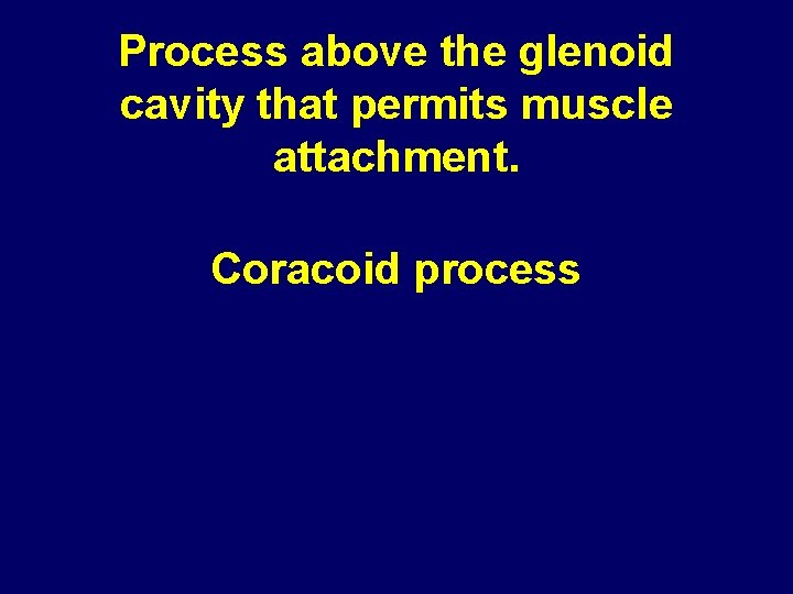Process above the glenoid cavity that permits muscle attachment. Coracoid process Process above the glenoid cavity that permits muscle attachment. Coracoid process