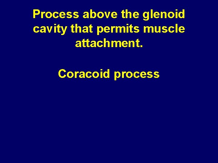 Process above the glenoid cavity that permits muscle attachment. Coracoid process 