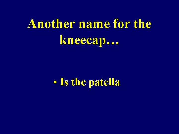 Another name for the kneecap… • Is the patella Another name for the kneecap… • Is the patella
