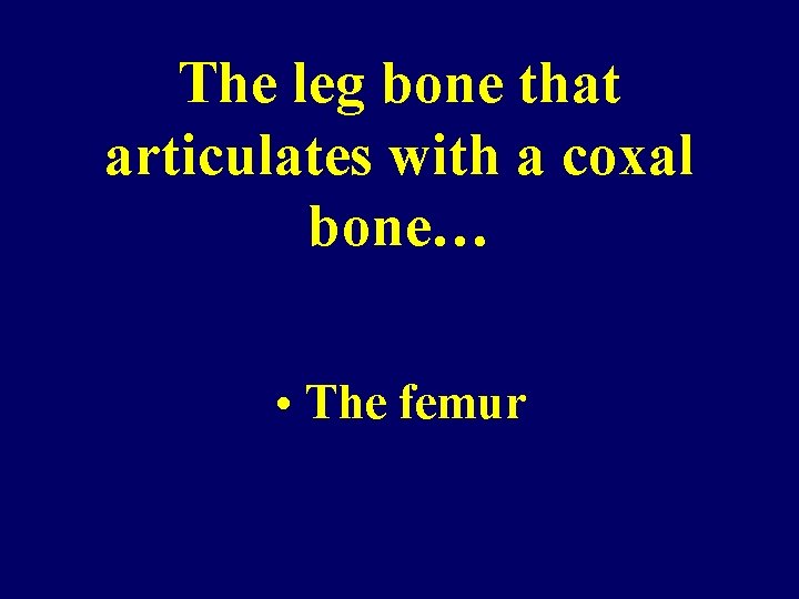 The leg bone that articulates with a coxal bone… • The femur 