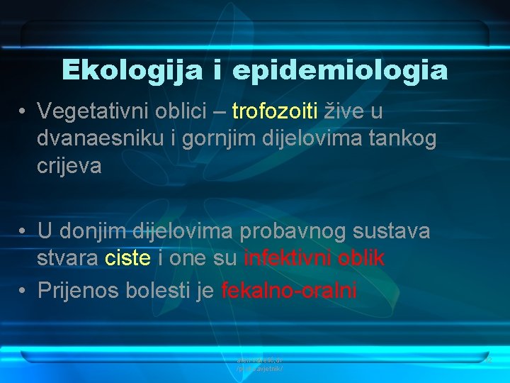 Ekologija i epidemiologia • Vegetativni oblici – trofozoiti žive u dvanaesniku i gornjim dijelovima