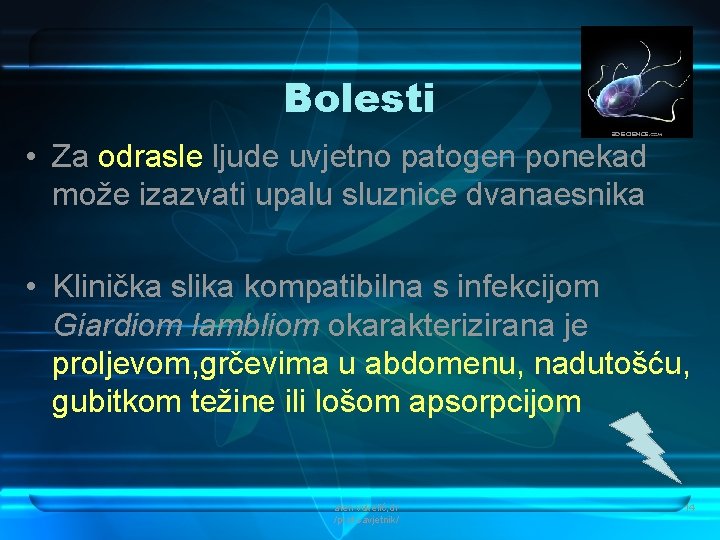 Bolesti • Za odrasle ljude uvjetno patogen ponekad može izazvati upalu sluznice dvanaesnika •