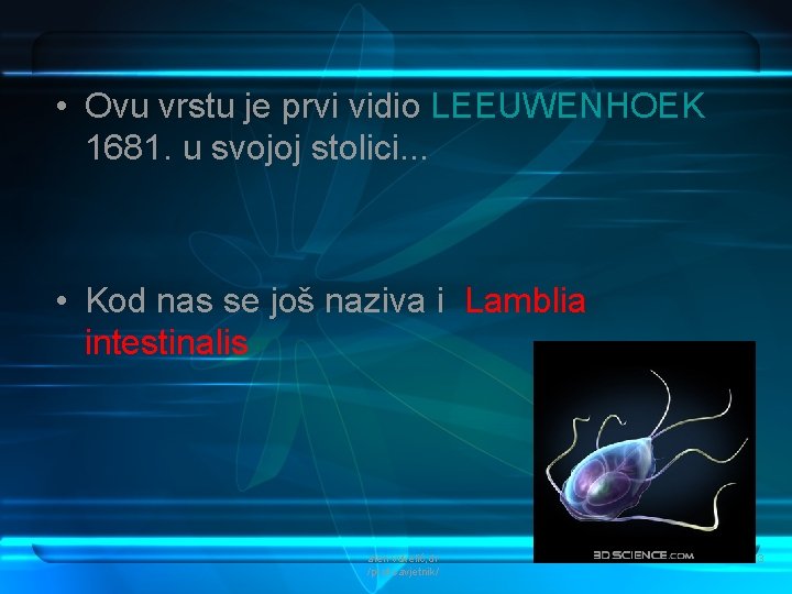  • Ovu vrstu je prvi vidio LEEUWENHOEK 1681. u svojoj stolici. . .