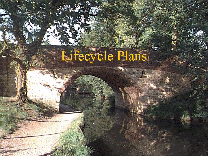 Lifecycle Plans 