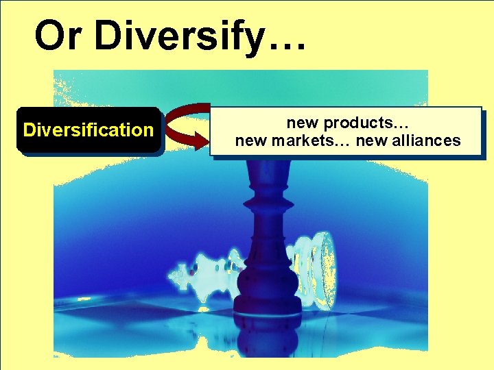 Or Diversify… Diversification new products… new markets… new alliances 