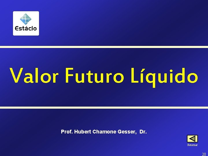 Valor Futuro Líquido Prof. Hubert Chamone Gesser, Dr. Retornar 20 