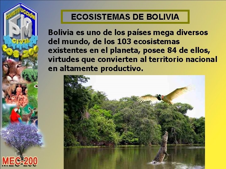 ECOSISTEMAS DE BOLIVIA Bolivia es uno de los países mega diversos del mundo, de