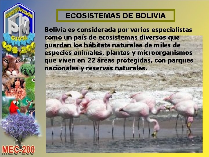 ECOSISTEMAS DE BOLIVIA Bolivia es considerada por varios especialistas como un país de ecosistemas