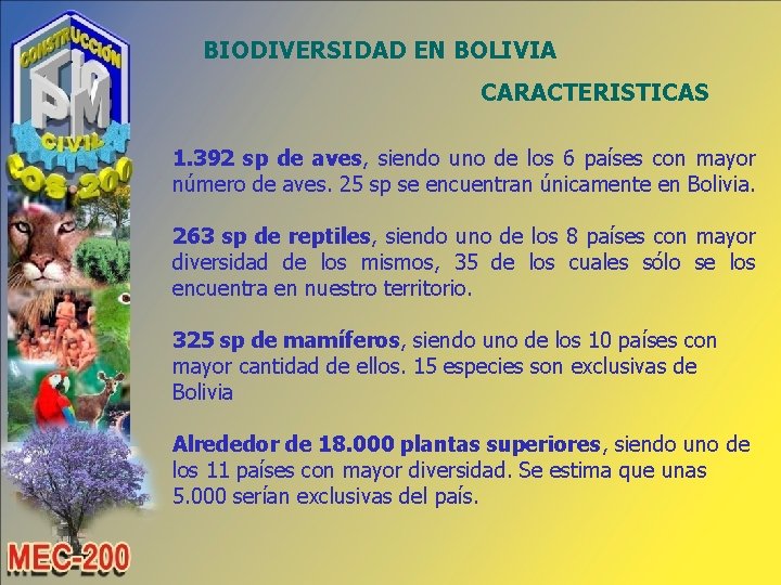 BIODIVERSIDAD EN BOLIVIA CARACTERISTICAS 1. 392 sp de aves, siendo uno de los 6
