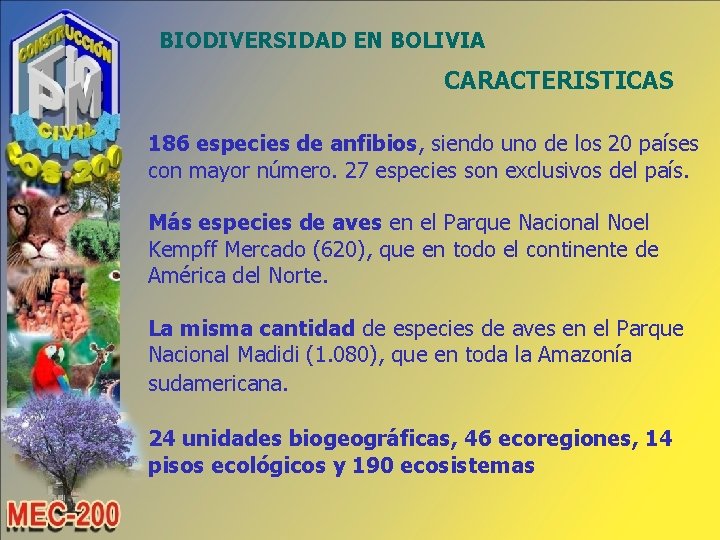 BIODIVERSIDAD EN BOLIVIA CARACTERISTICAS 186 especies de anfibios, siendo uno de los 20 países