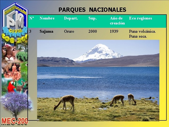 PARQUES NACIONALES Nº Nombre Depart. Sup. Año de Eco regiones creación 3 Sajama Oruro