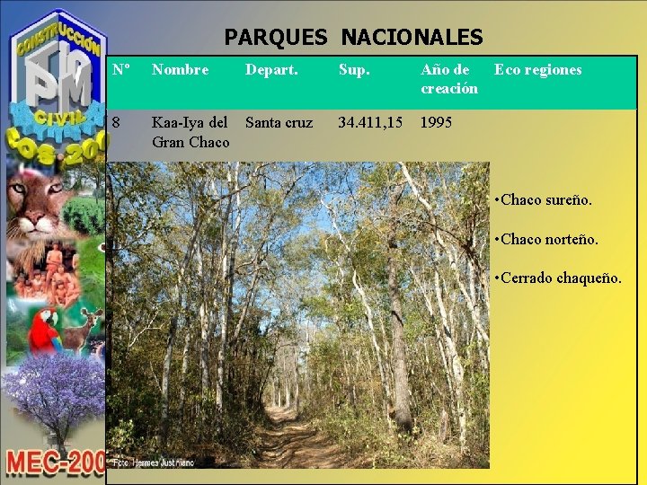 PARQUES NACIONALES Nº Nombre Depart. 8 Kaa-Iya del Santa cruz Gran Chaco Sup. Año