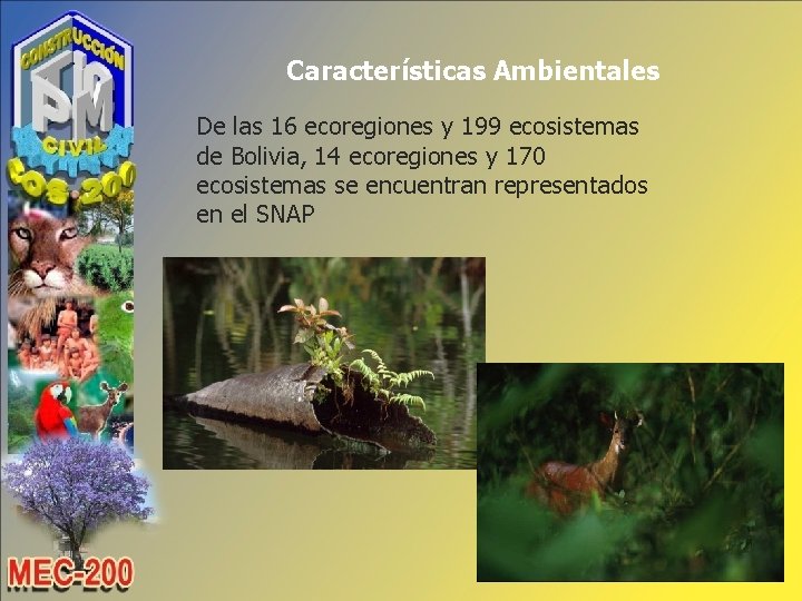 Características Ambientales De las 16 ecoregiones y 199 ecosistemas de Bolivia, 14 ecoregiones y