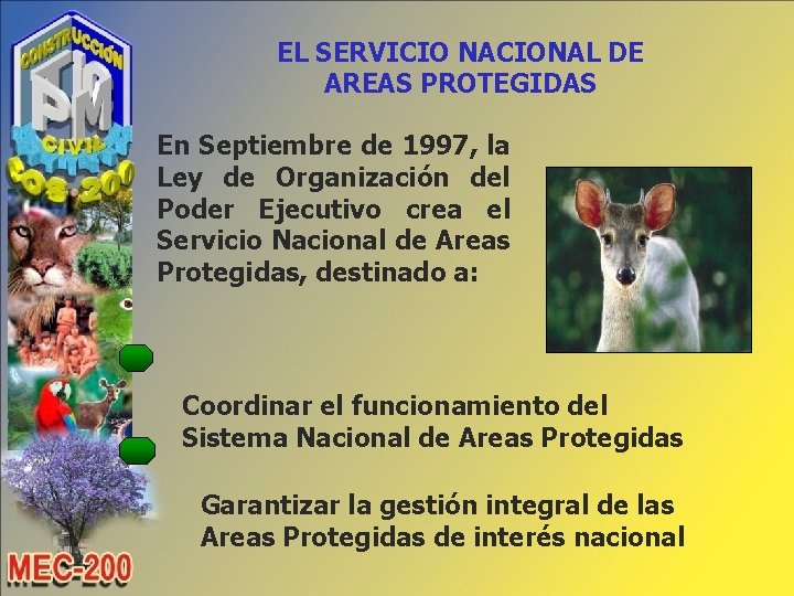 EL SERVICIO NACIONAL DE AREAS PROTEGIDAS En Septiembre de 1997, la Ley de Organización