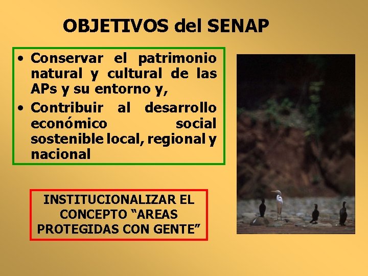 OBJETIVOS del SENAP • Conservar el patrimonio natural y cultural de las APs y