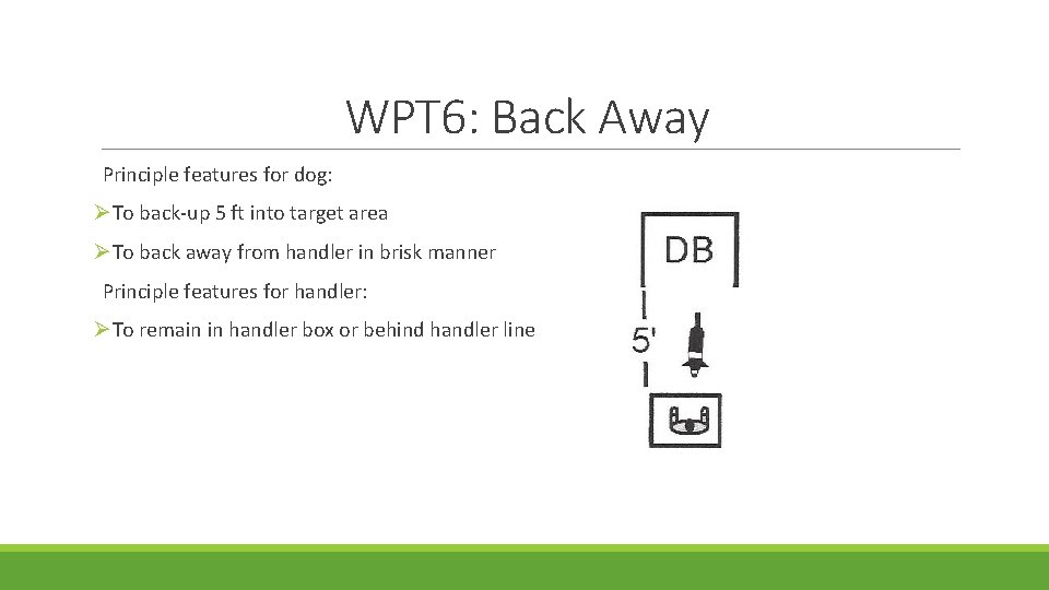 WPT 6: Back Away Principle features for dog: ØTo back-up 5 ft into target