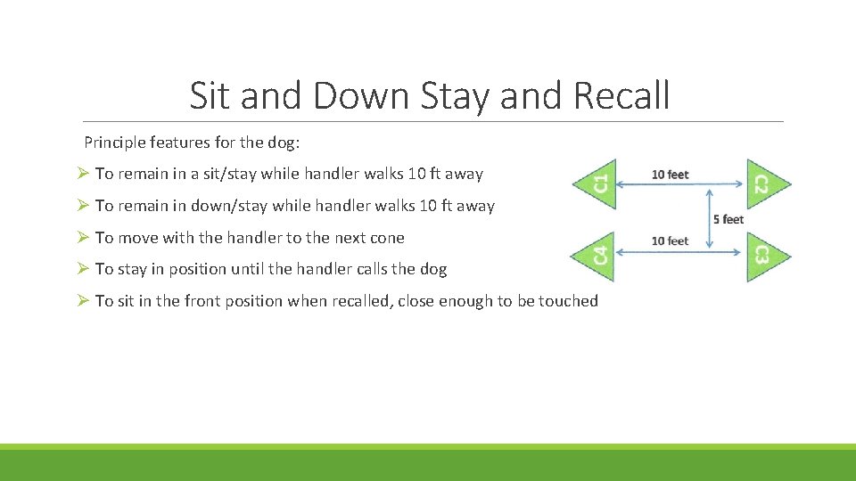 Sit and Down Stay and Recall Principle features for the dog: Ø To remain