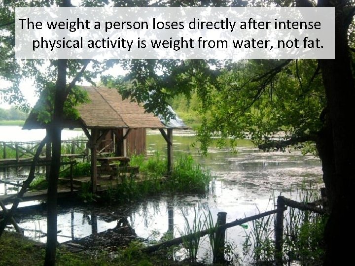 The weight a person loses directly after intense physical activity is weight from water,