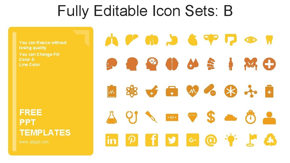 Fully Editable Icon Sets: B You can Resize without losing quality You can Change