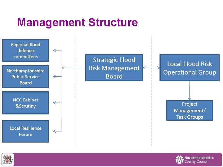 Management Structure 