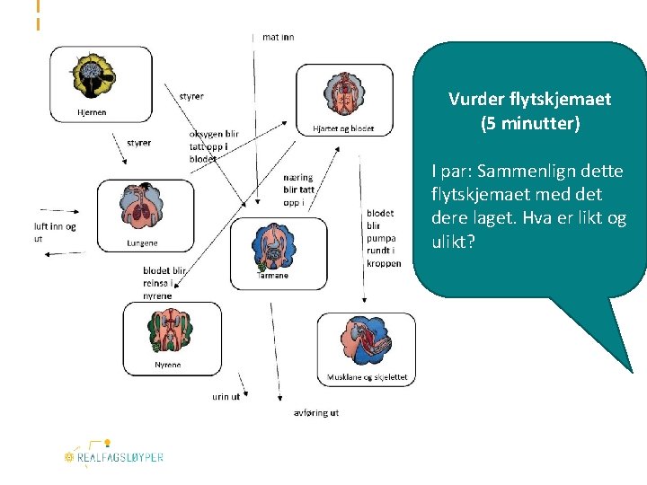 Vurder flytskjemaet (5 minutter) I par: Sammenlign dette flytskjemaet med det dere laget. Hva