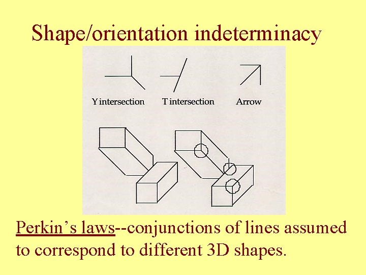 Shape/orientation indeterminacy Perkin’s laws--conjunctions of lines assumed to correspond to different 3 D shapes.