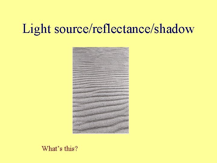 Light source/reflectance/shadow What’s this? 