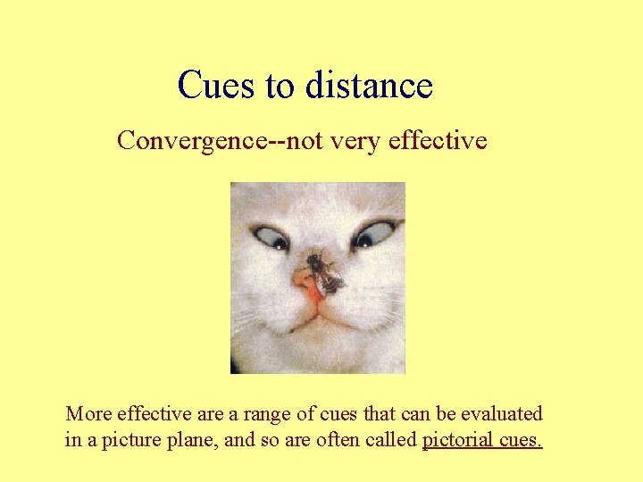Cues to distance Convergence--not very effective More effective are a range of cues that
