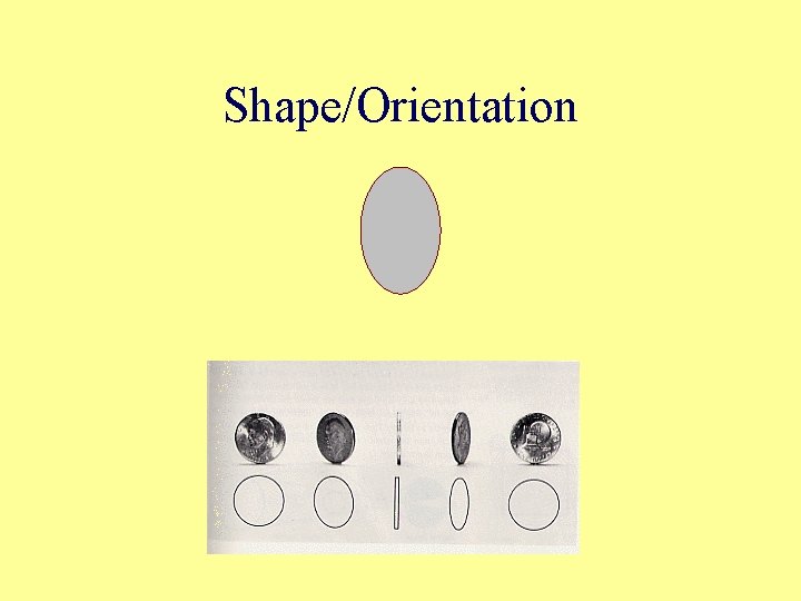 Shape/Orientation 