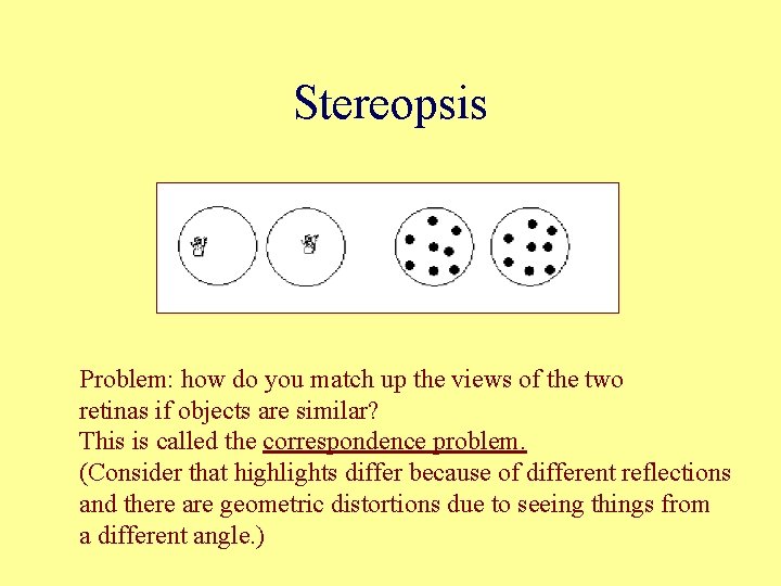 Stereopsis Problem: how do you match up the views of the two retinas if