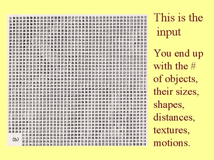 This is the input You end up with the # of objects, their sizes,